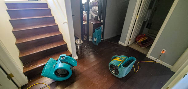 Professional Water damage restoration in San Augustine, TX