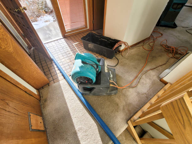 San Augustine, TX Water damage restoration Company