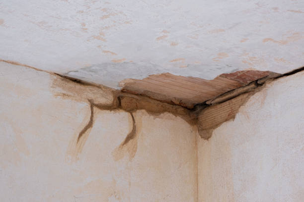 Best Water damage restoration company  in San Augustine, TX