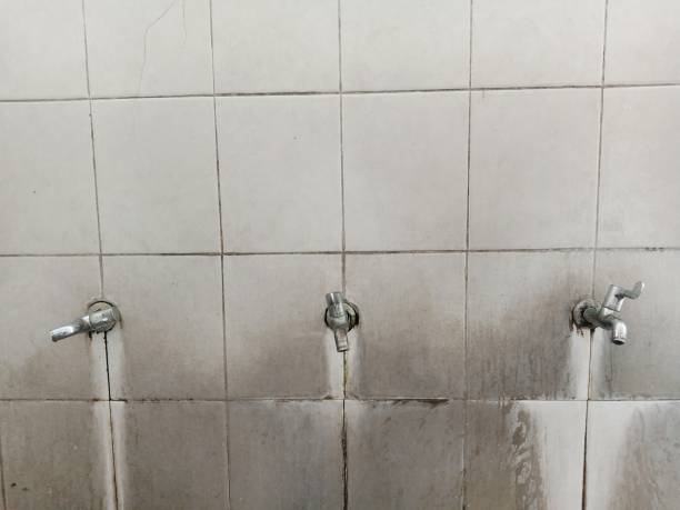 Best Commercial water damage restoration  in San Augustine, TX